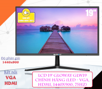 LCD 19 GLOWAY GLW19